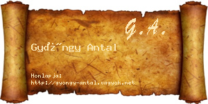 Gyöngy Antal névjegykártya